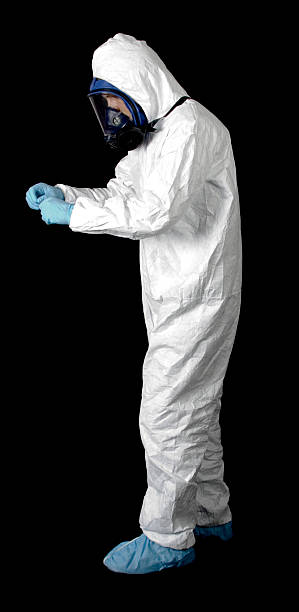 Best Black Mold Removal  in Excelsior, MN