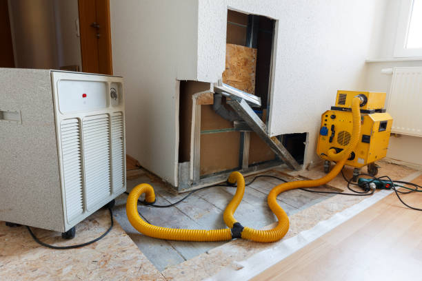 Best Commercial Mold Inspection  in Excelsior, MN